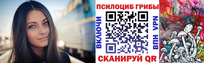 Купить  Ильский  Псилоцибиновые грибы прущие грибы 